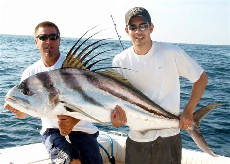 rooster fish|How to Catch Roosterfish .
